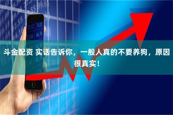 斗金配资 实话告诉你，一般人真的不要养狗，原因很真实！