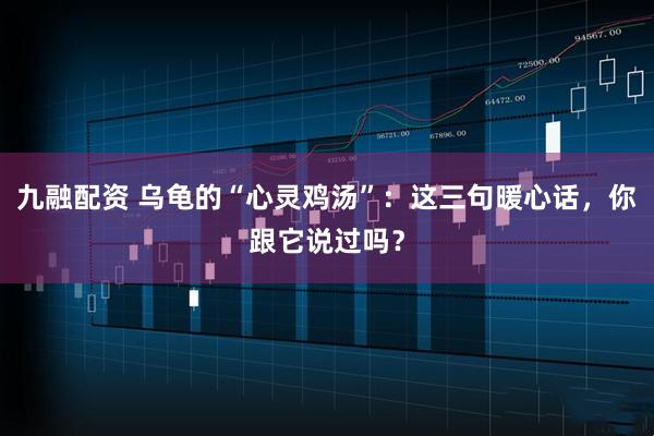 九融配资 乌龟的“心灵鸡汤”：这三句暖心话，你跟它说过吗？