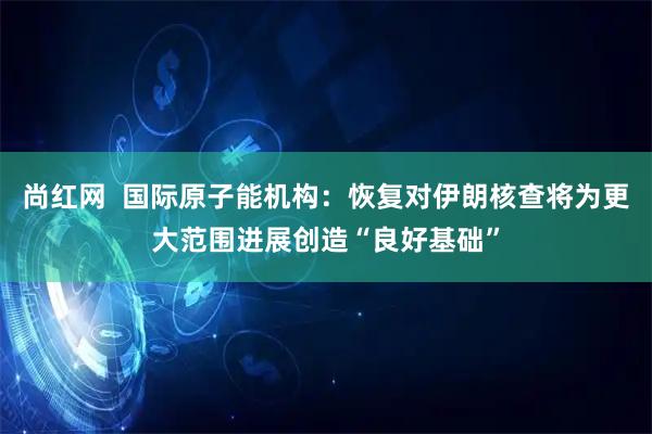 尚红网  国际原子能机构：恢复对伊朗核查将为更大范围进展创造“良好基础”