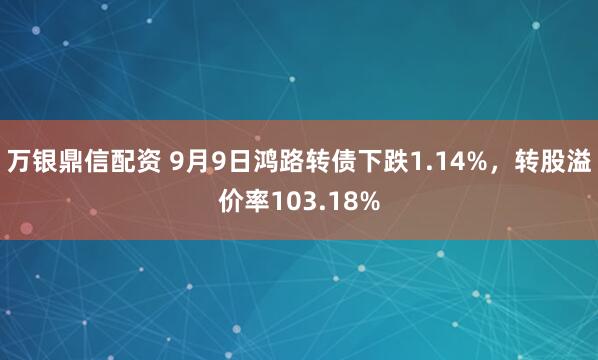 万银鼎信配资 9月9日鸿路转债下跌1.14%，转股溢价率103.18%