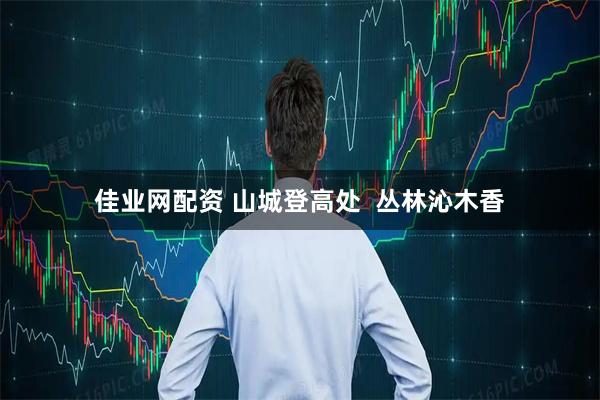 佳业网配资 山城登高处  丛林沁木香