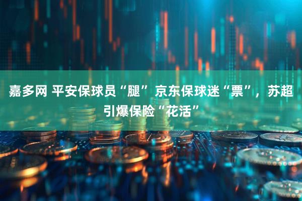 嘉多网 平安保球员“腿” 京东保球迷“票”，苏超引爆保险“花活”